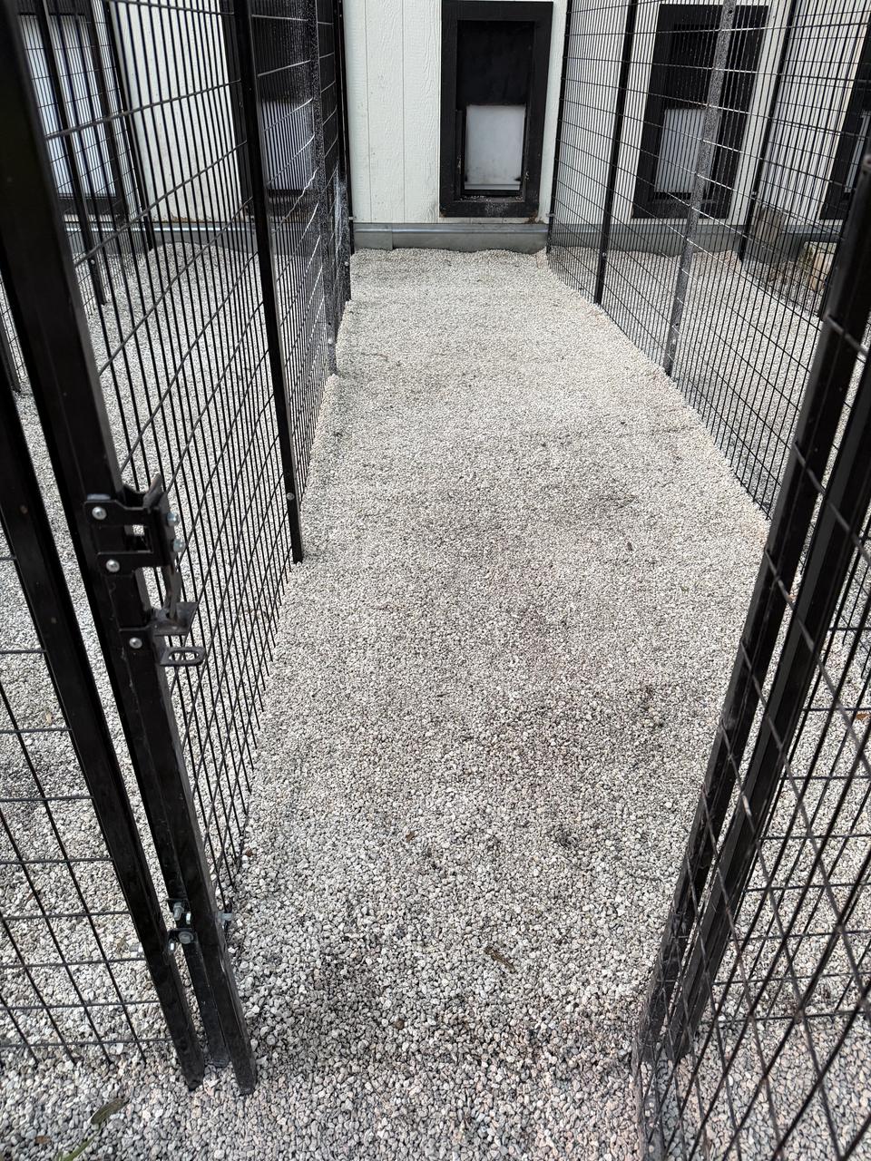 Secure, individual kennel runs